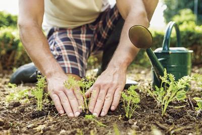 Spring planting pointers